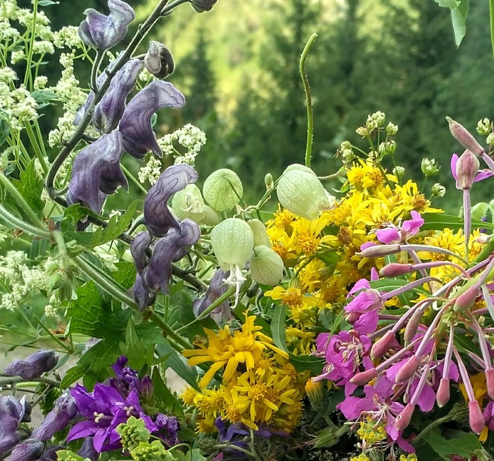 Горный букет