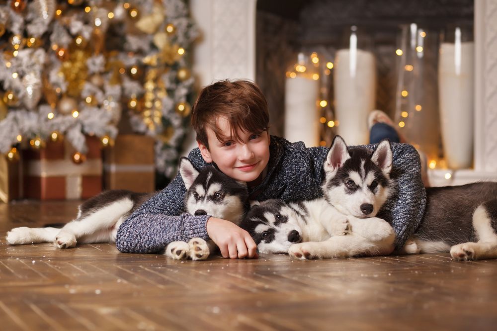 Теплая компания