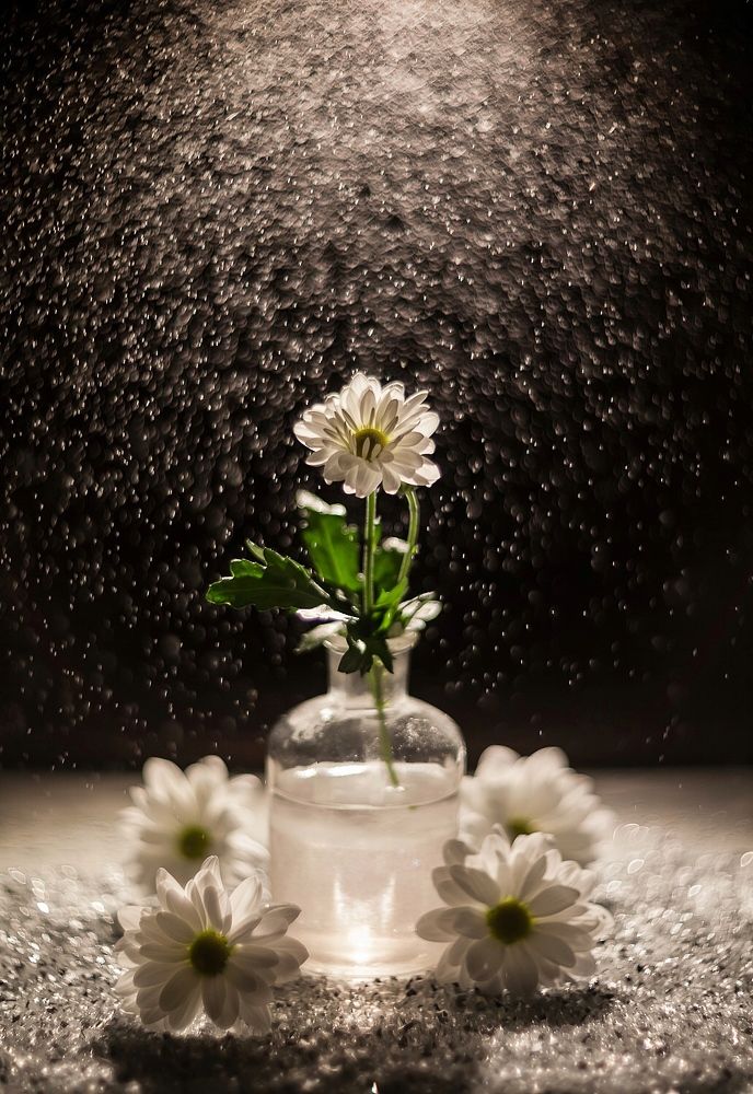 Photograph by Тата Бакбак