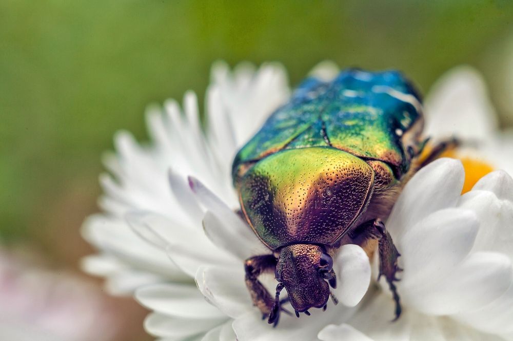 Photograph by Тата Бакбак