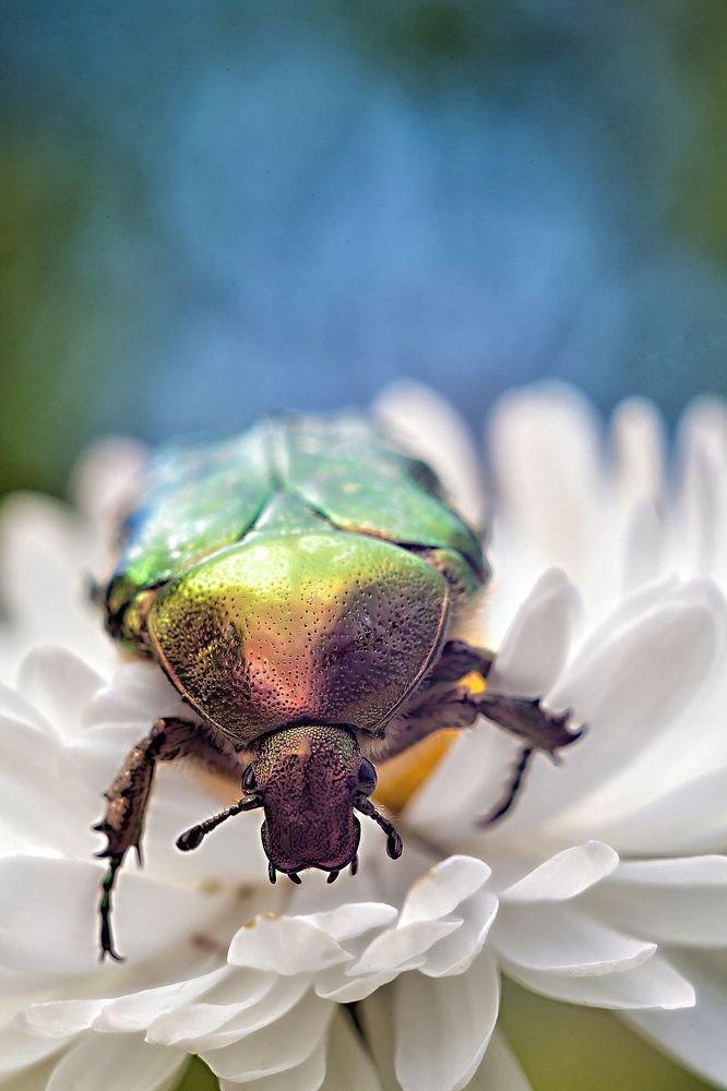 Photograph by Тата Бакбак