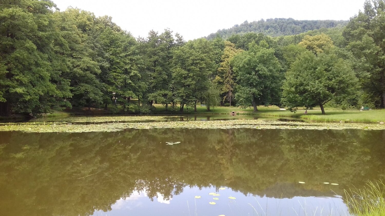 Photo #2763328