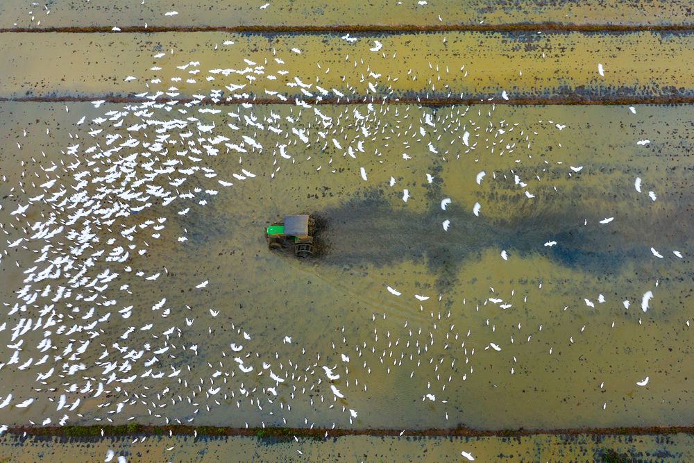 For Tomorrow's Lives