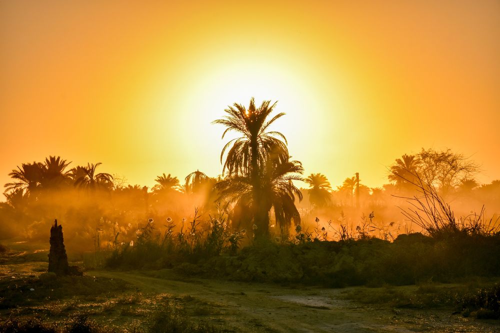 Photograph by Morteza Hekmat Maram