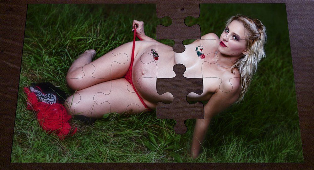 the lost pieces of the puzzle