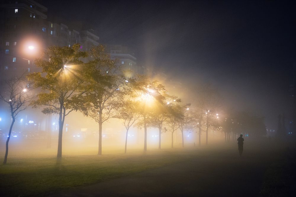 Photograph by Анастасия Ломаева