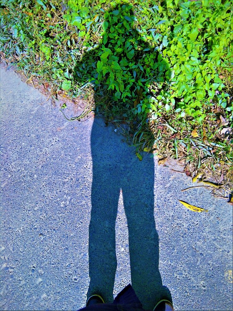 my shadow