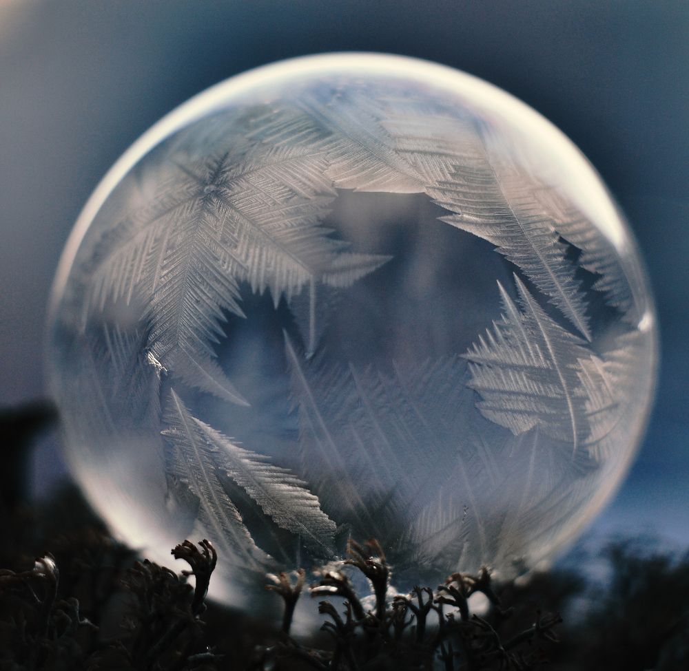 Морозные рисунки