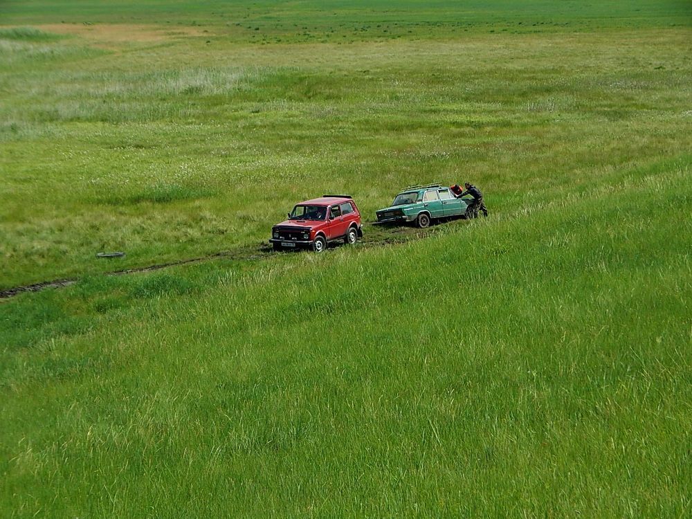 Зелёная степь