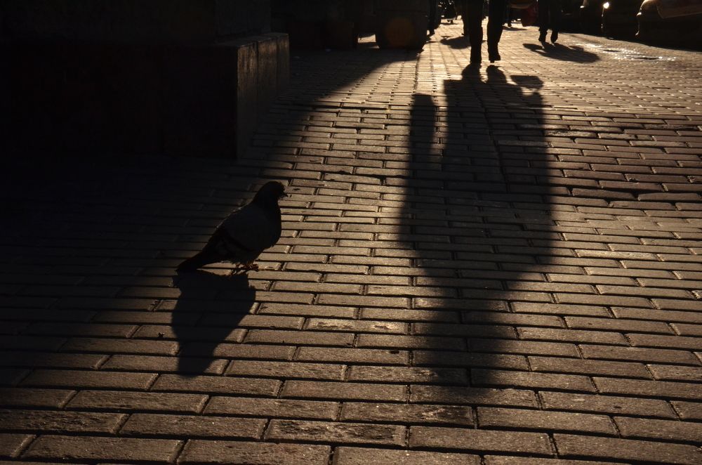 Полуденные тени