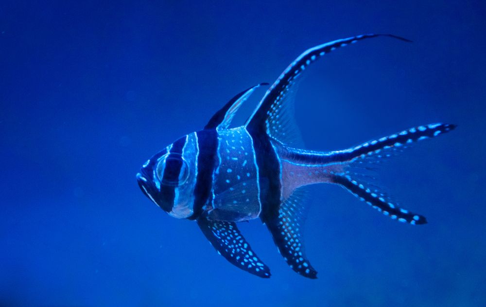 Photograph by Сергей Фомин