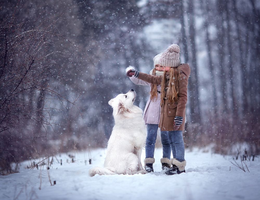 Photograph by Елена Силина