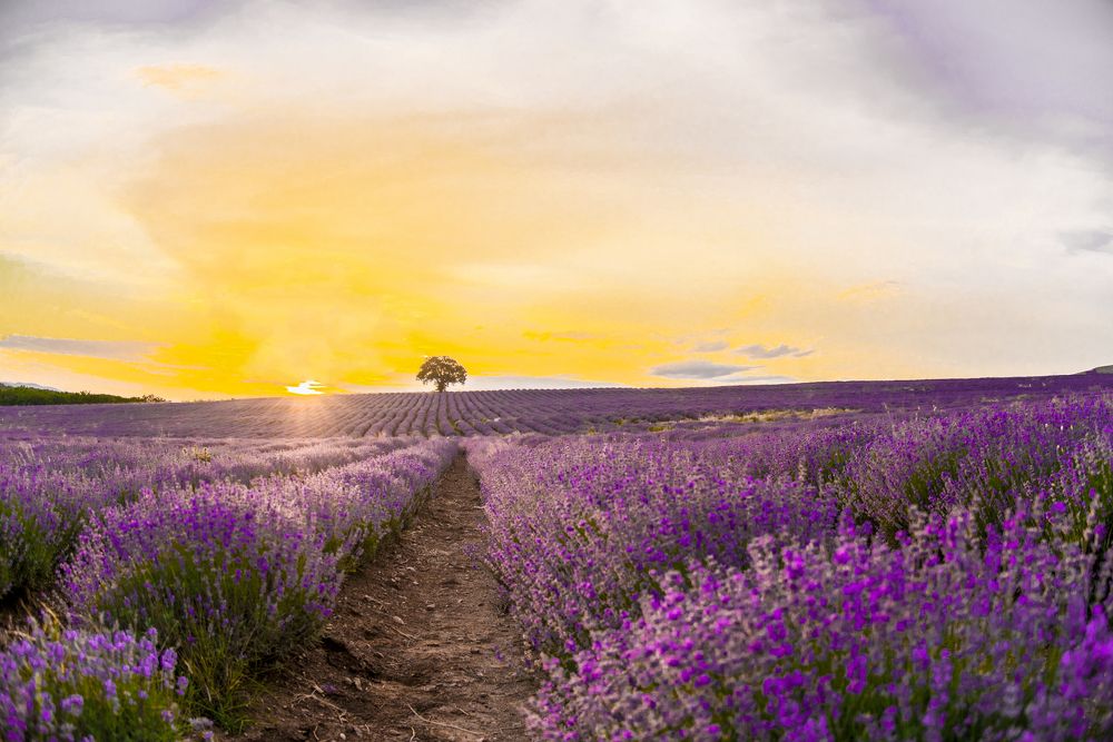 Photograph by Venelin Dimitrov