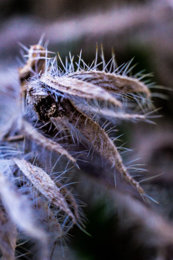 Photograph by Andrew Mikhaylov