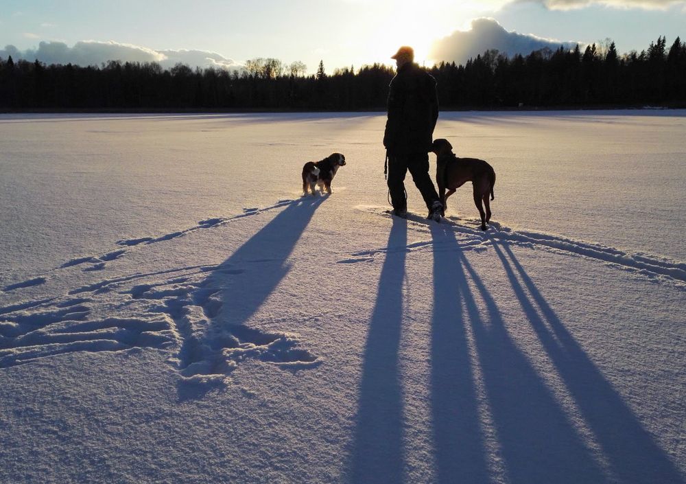 Среди лесов, среди полей...