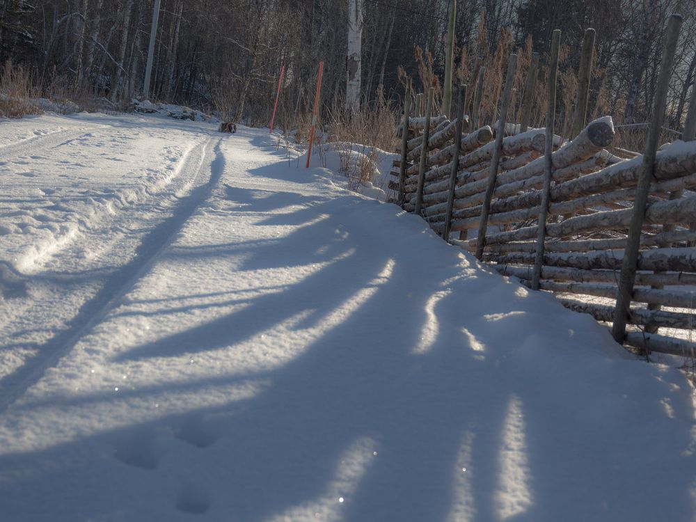 На зимней распродаже