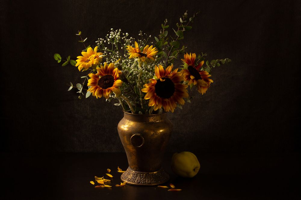 Солнечные цветы