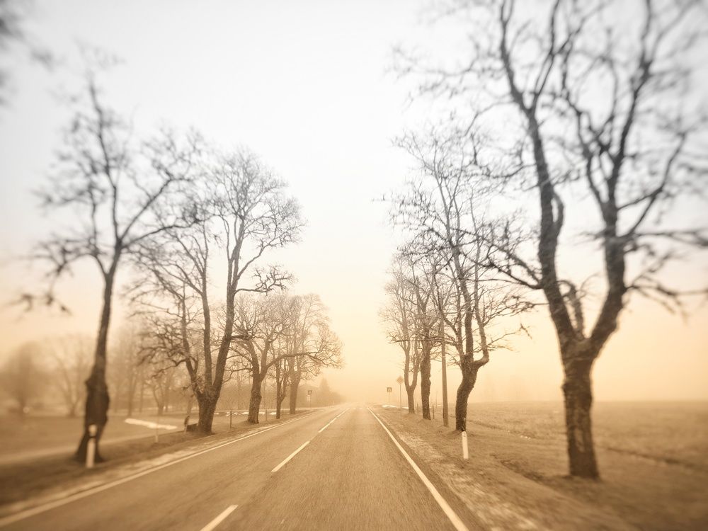 Пейзаж..,деревья