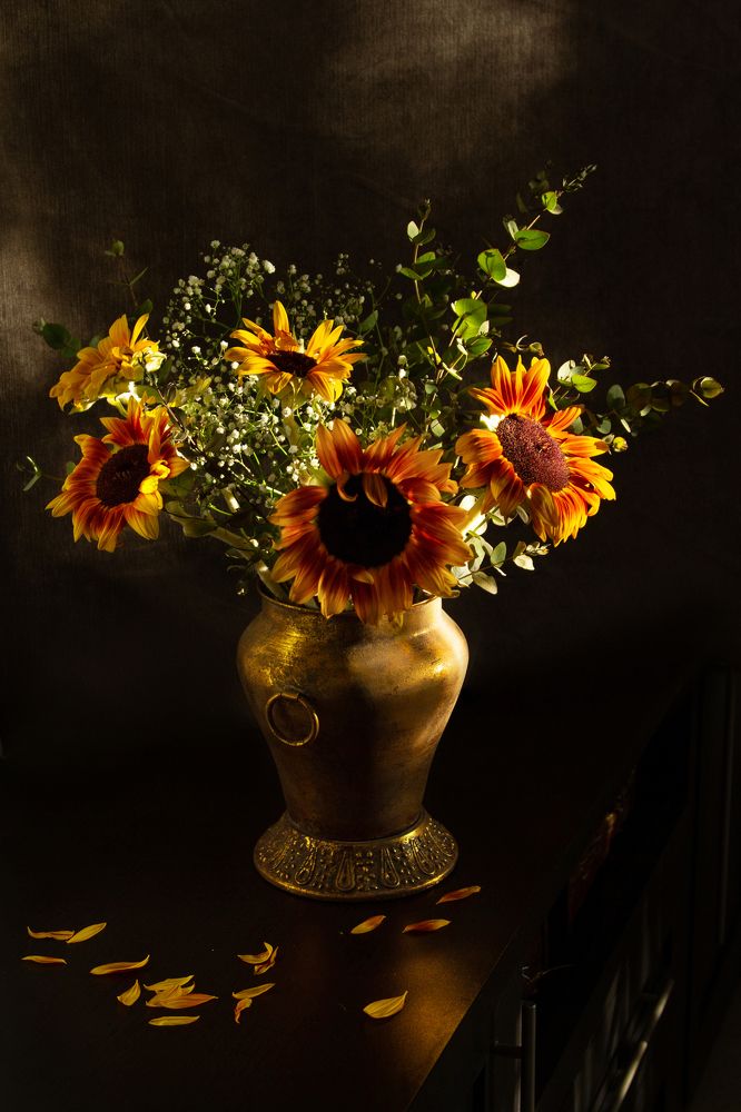 Солнечные цветы