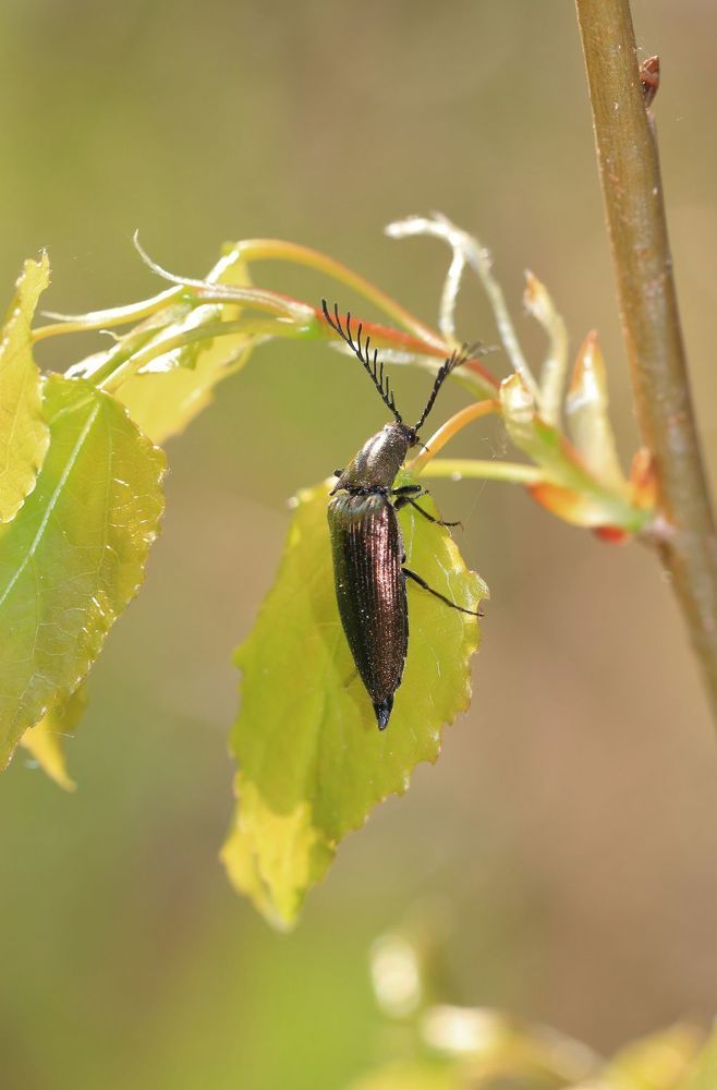 Photograph by Алексей Федулов