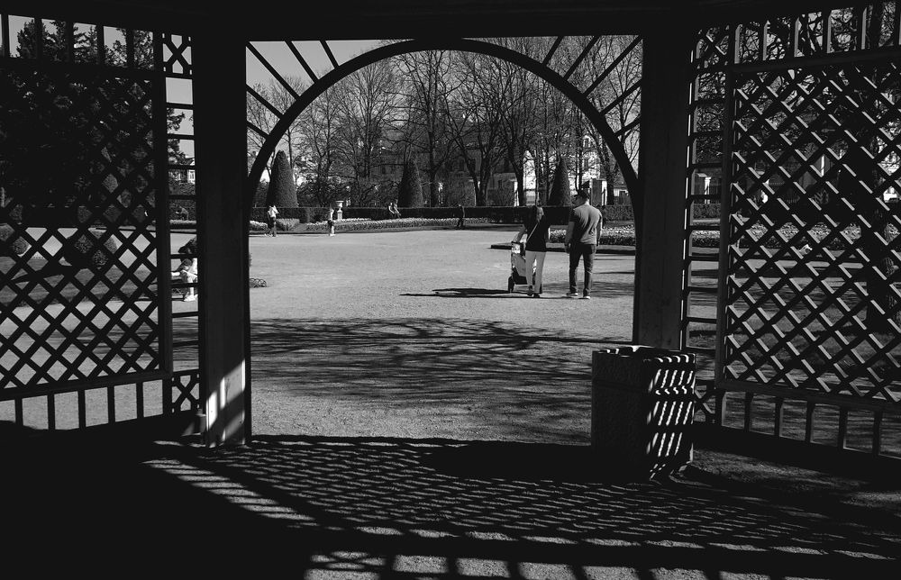 Вид из беседки