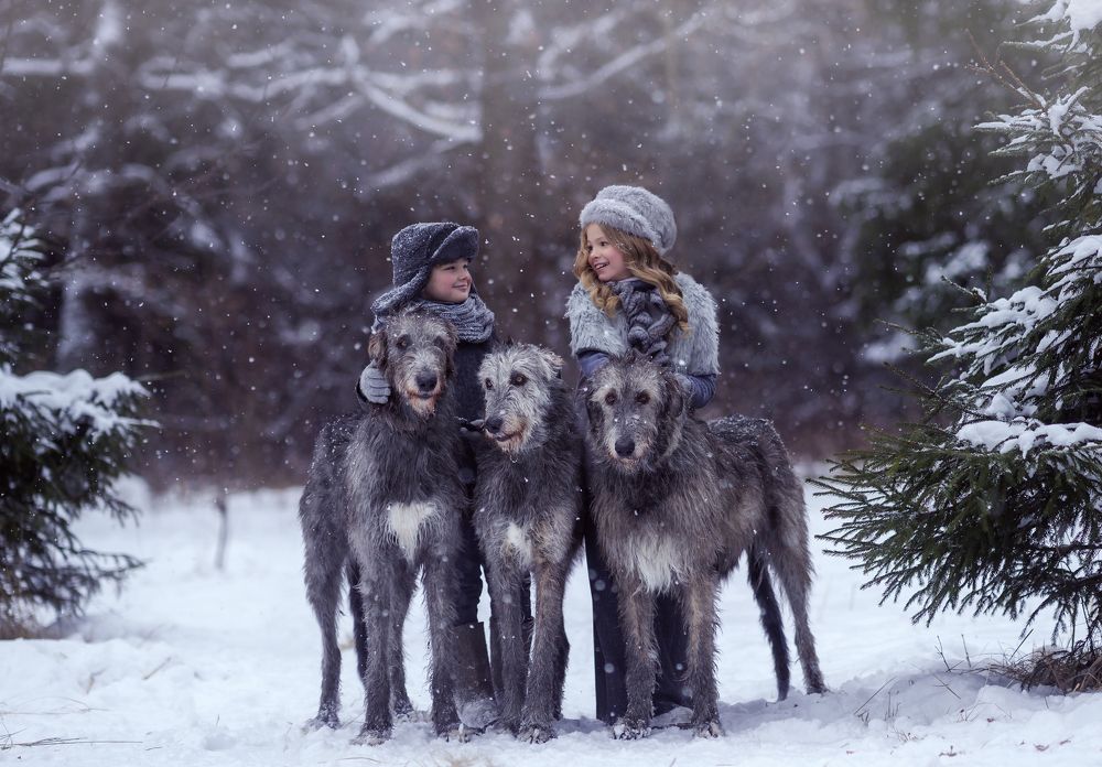Зимняя сказка