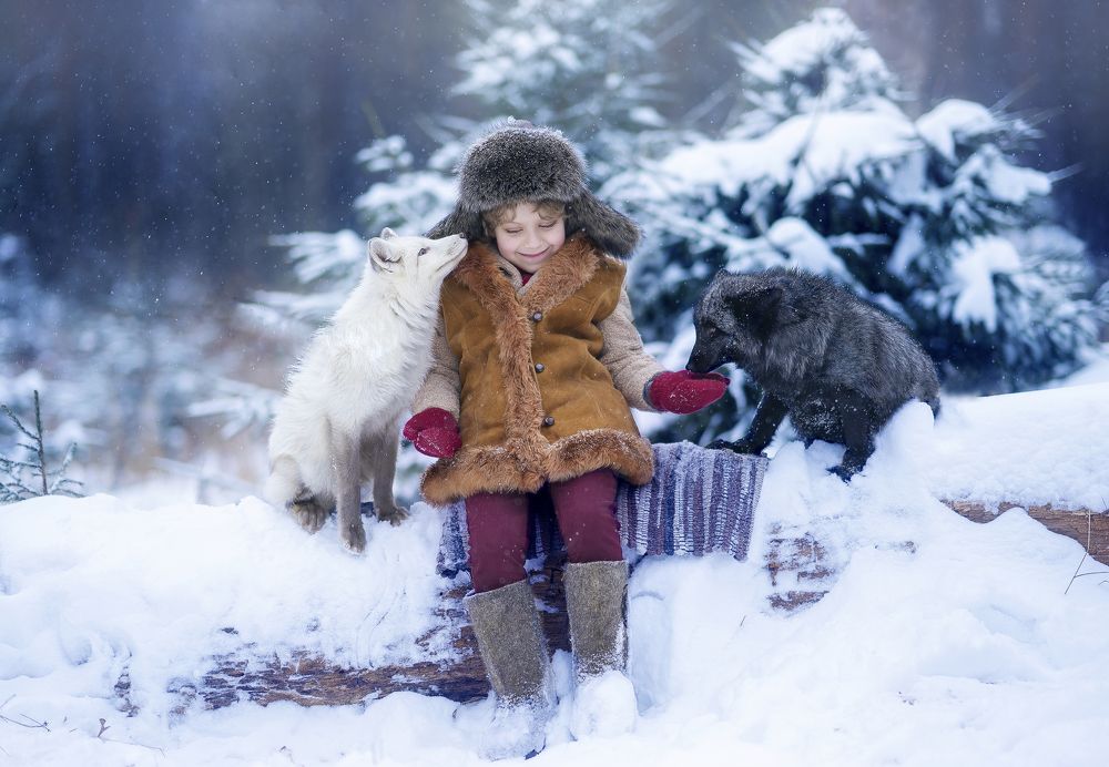 Укрощение лис