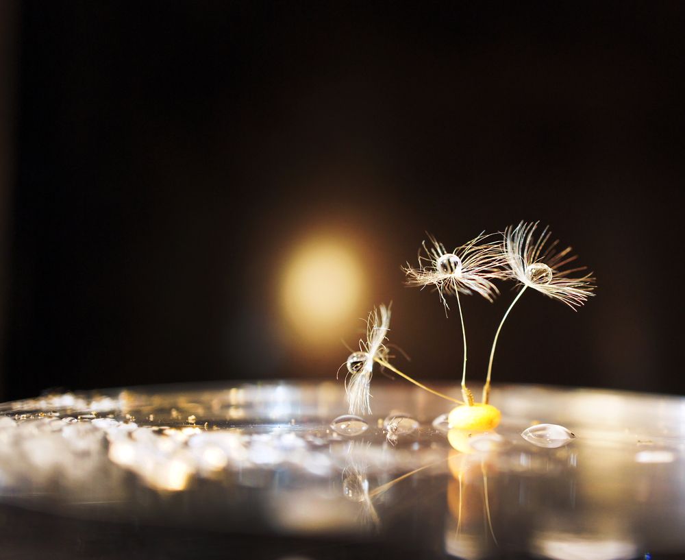 романтичные парашютики:)