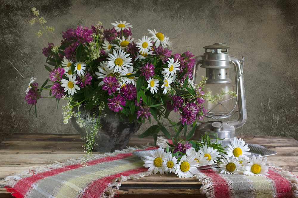 Цветы полевые