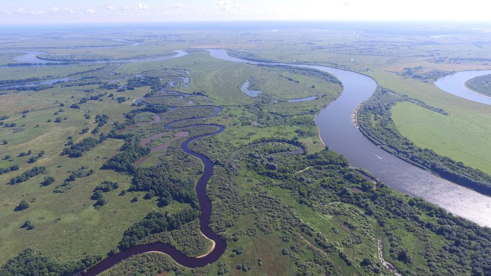 Река Пра в в месте впадения в Оку