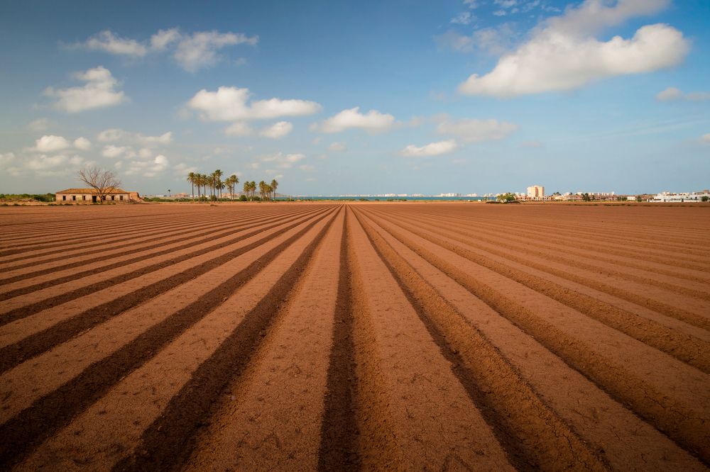 Урожай собран..