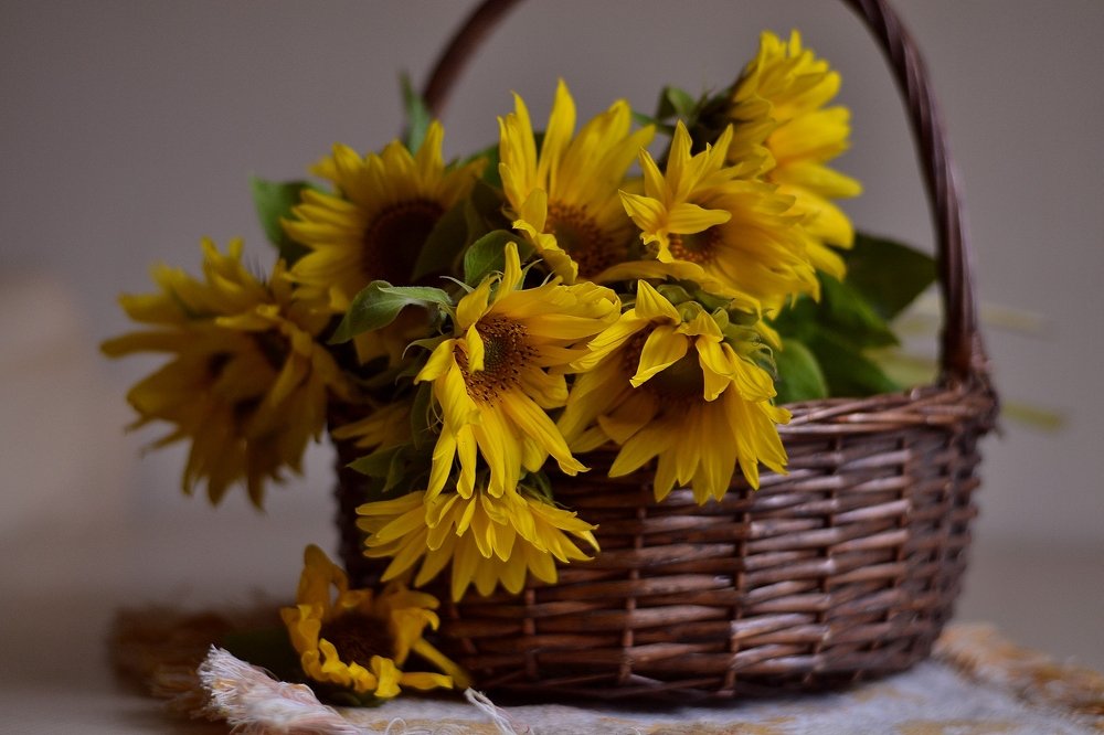 Photograph by Елена Боржковская