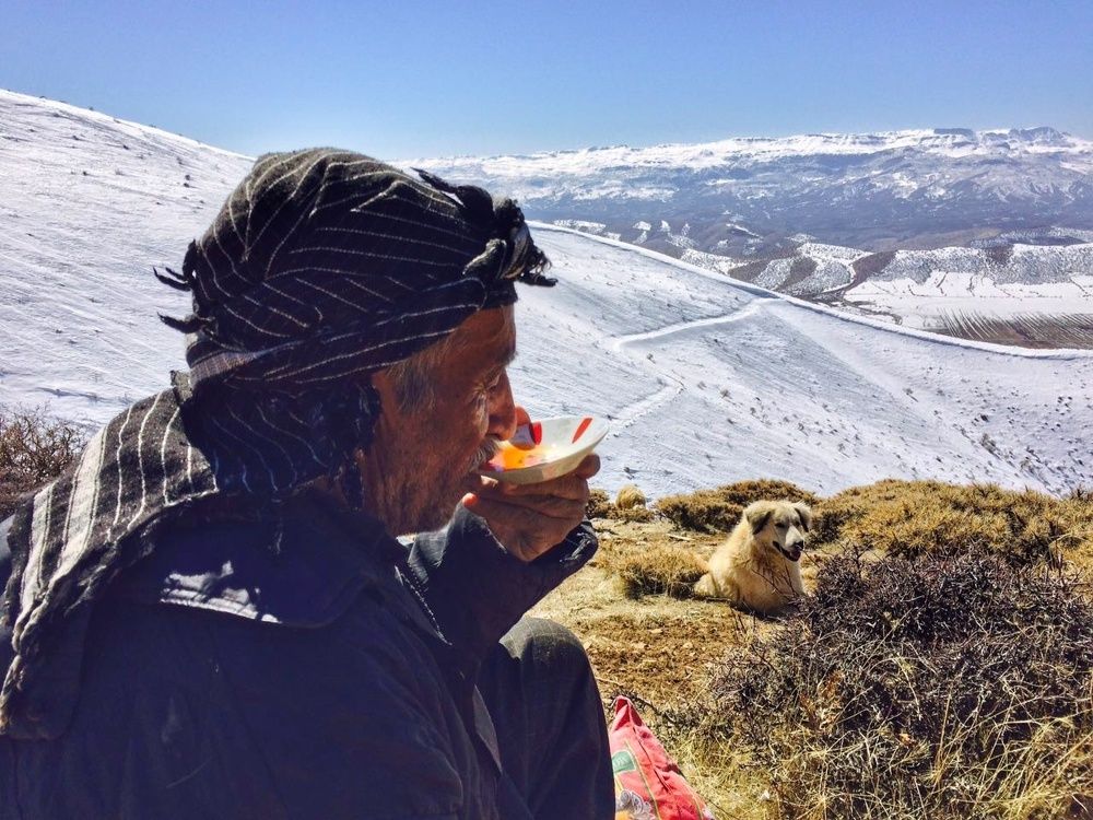 Your sincerely Moein Mohammadi Farshad Village Salasbabajani County Kermanshah Province Iran