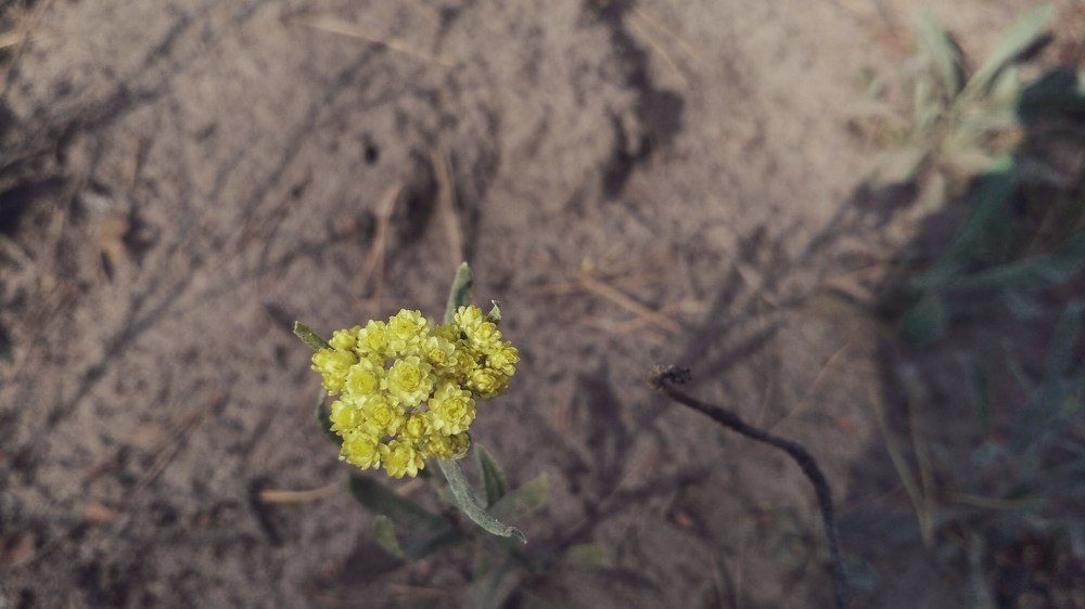Photograph by Олег