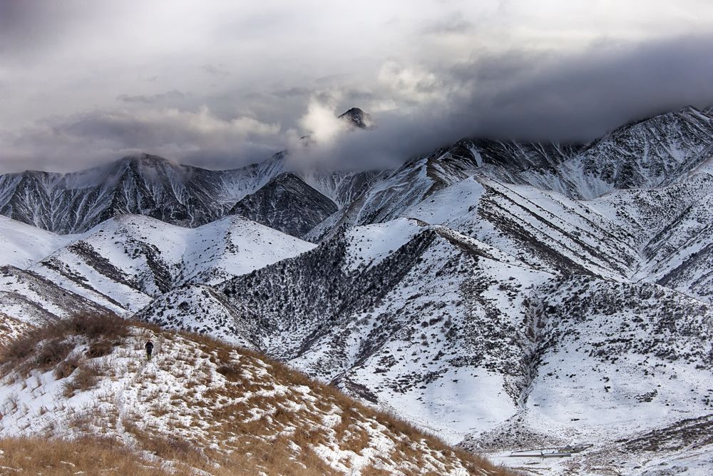 Сказки уходящего года
