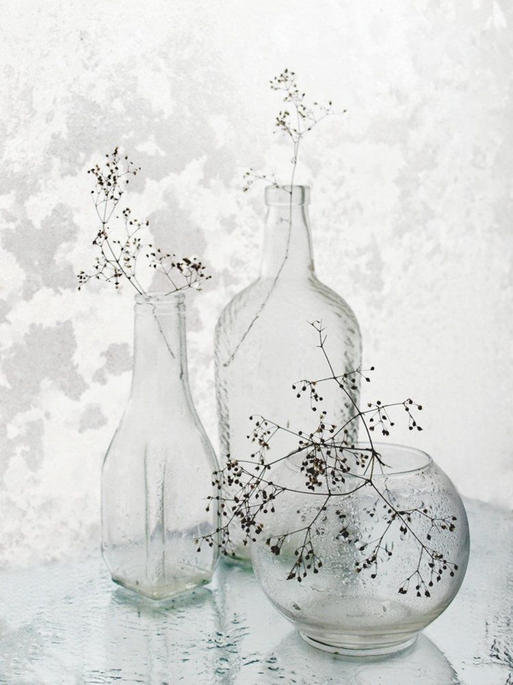 Зимние цветы.