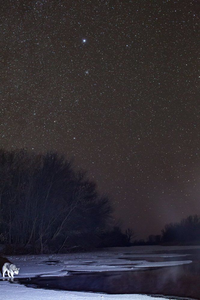 Photograph by Алексей Кашин