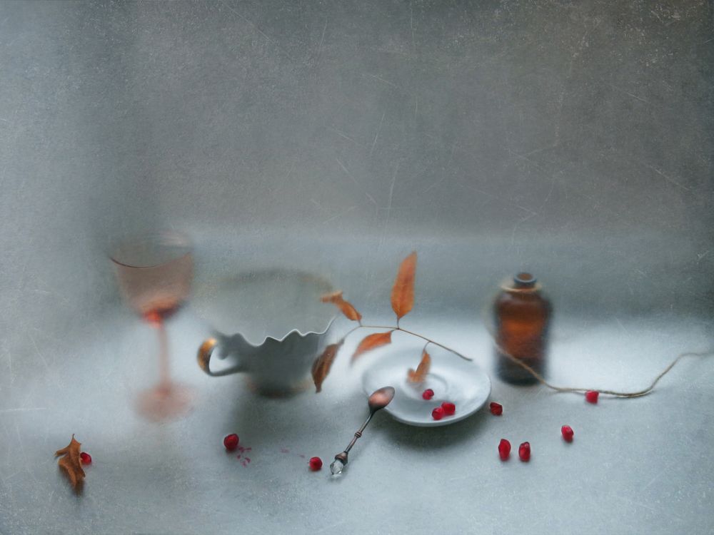 Фотография автора Елена Лысенко