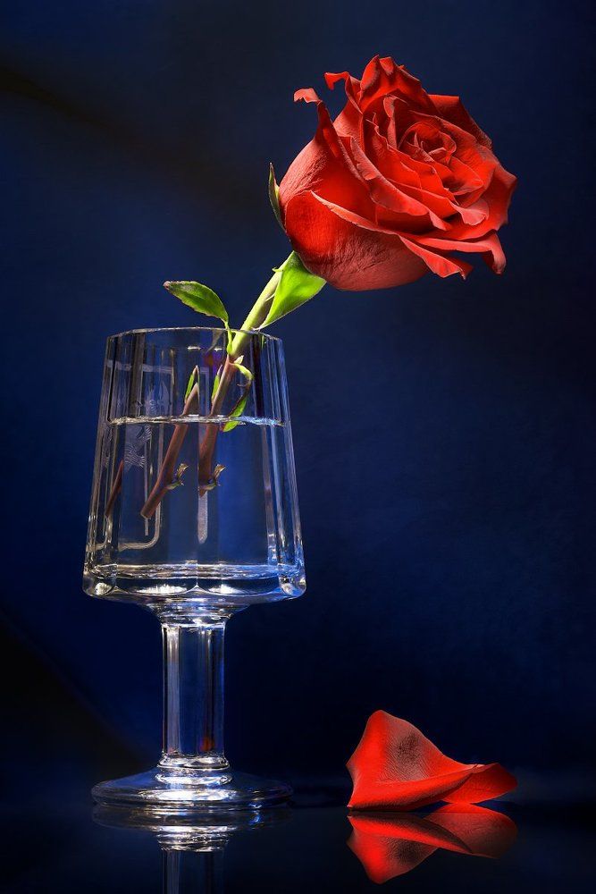 Без названия