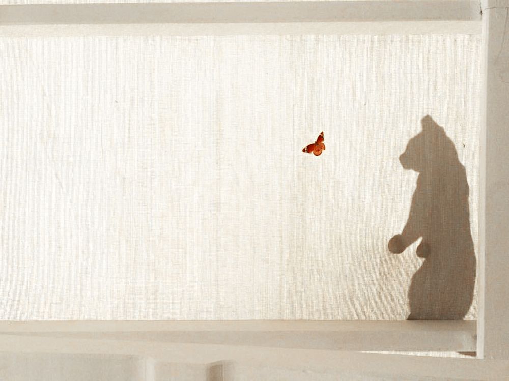 А счастье было так близко...