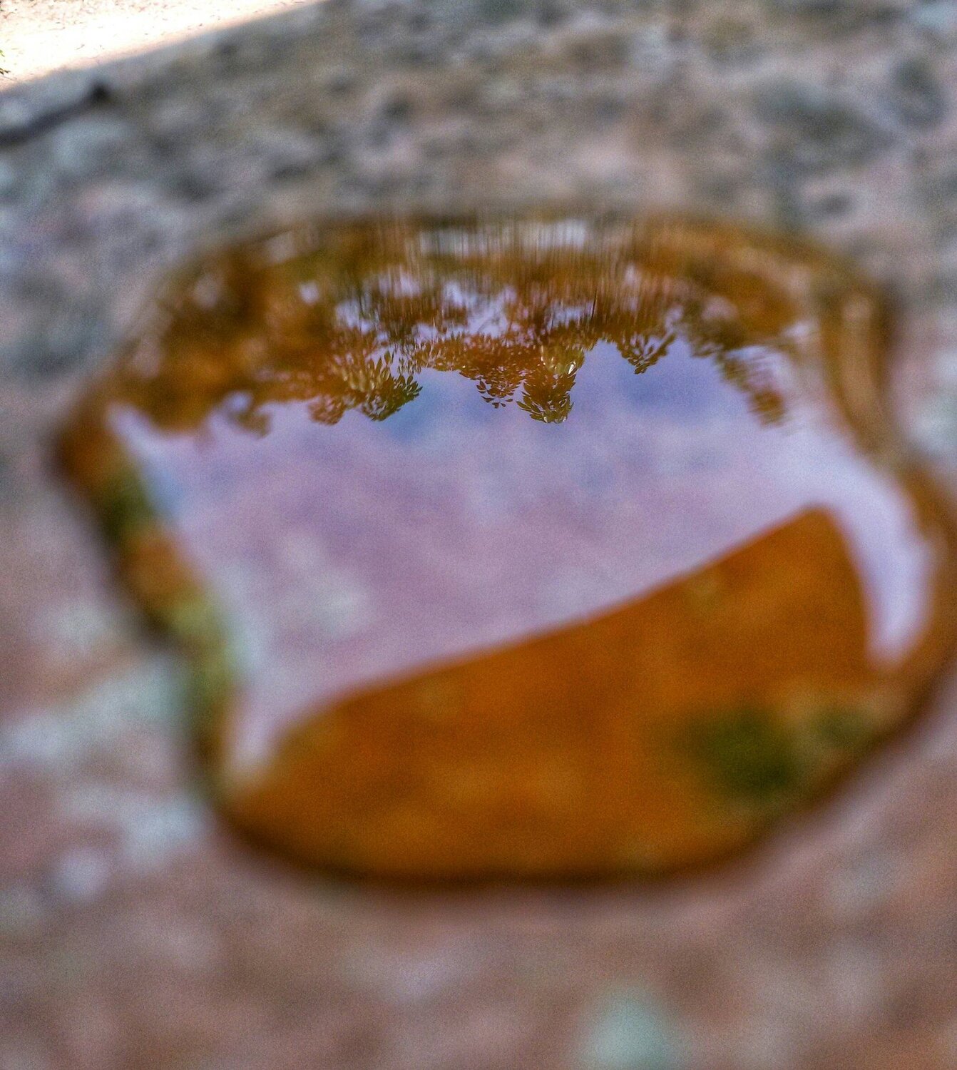 Reflection
