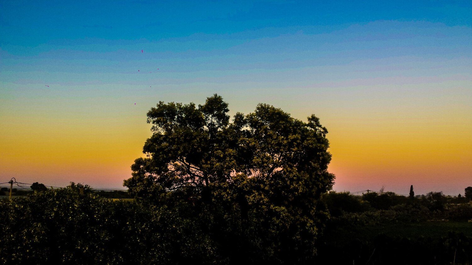 Sun set