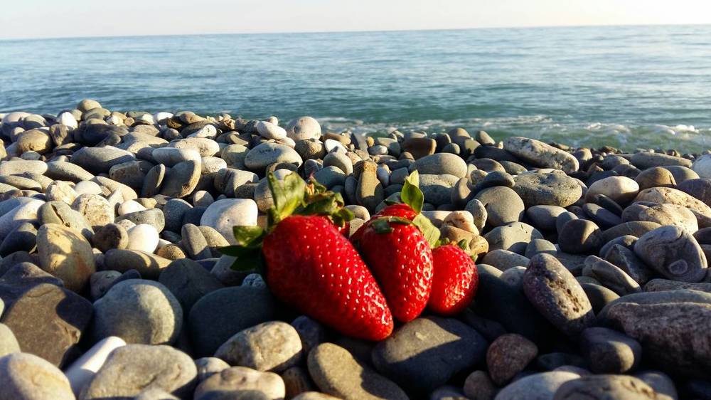 Photograph by ИРИНА ЗАЙЦЕВА