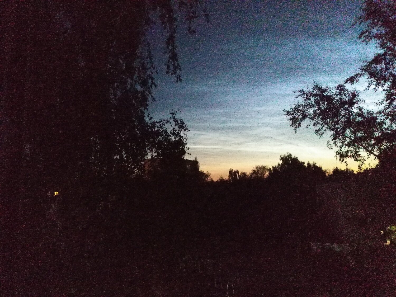 Photo #2767250
