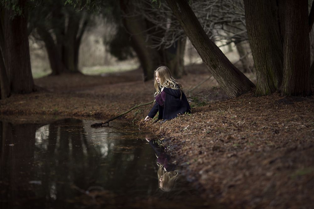 Загадочный лес!