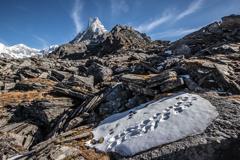 По следам Снежного Барса