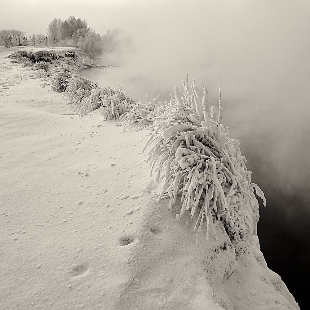 Туманный берег