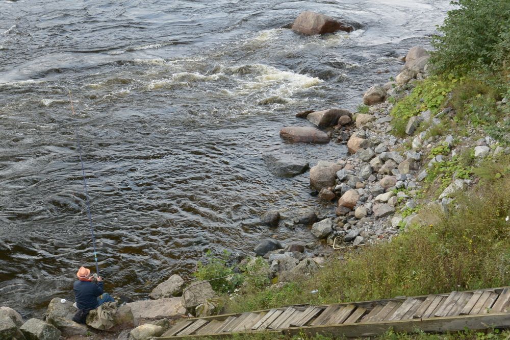 Фотография автора Dimitrii Aristoff