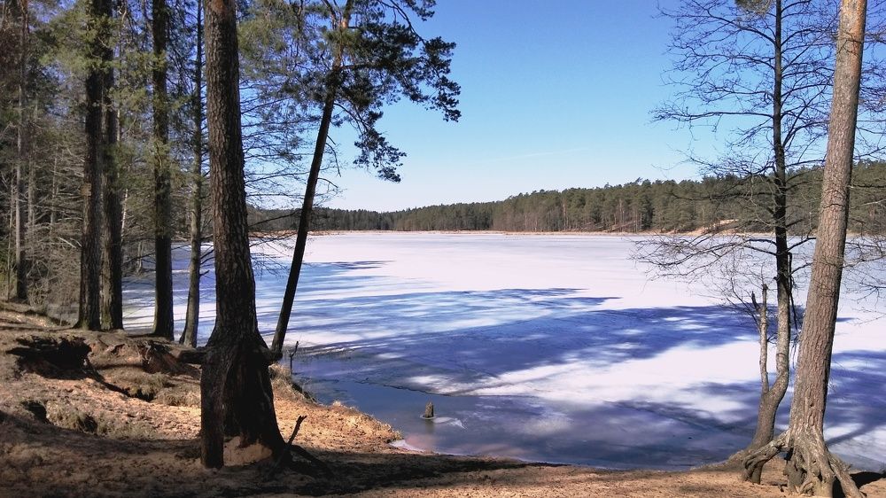 Photograph by Ирина Корнева