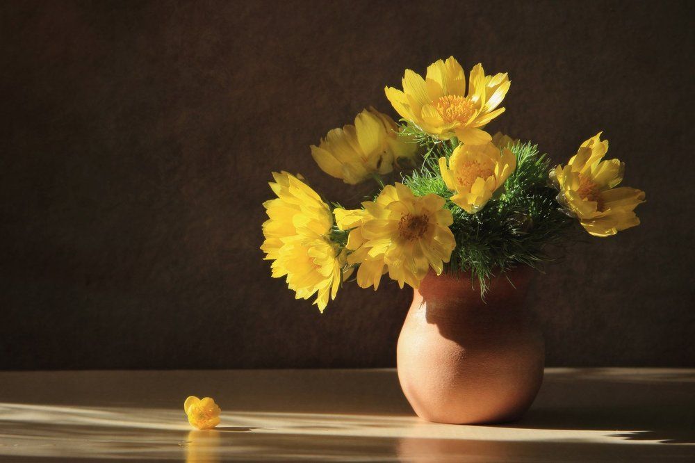 Фотография автора Дарья Шамакина